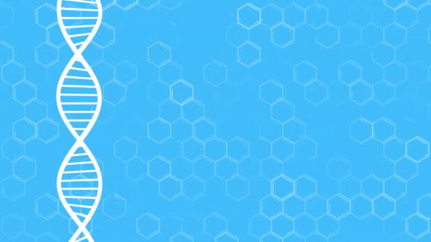 BIOLOGY 11 - Expert Series